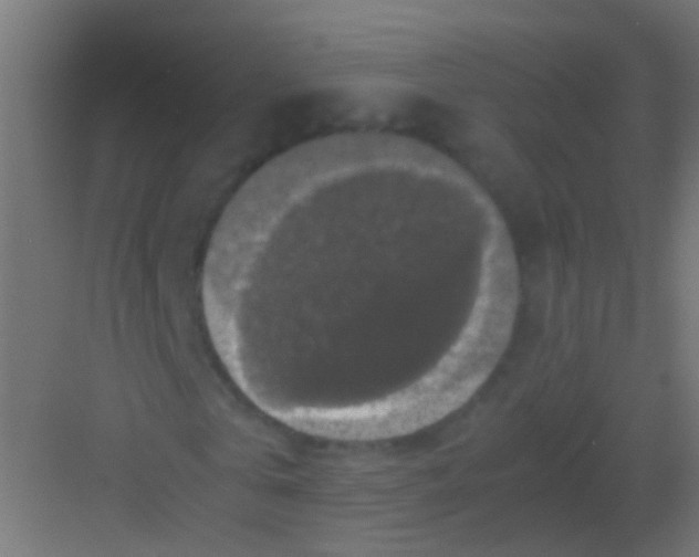 X0000081390769200702090037