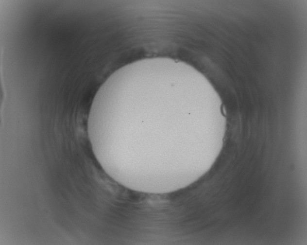 X0000081390770200702090037