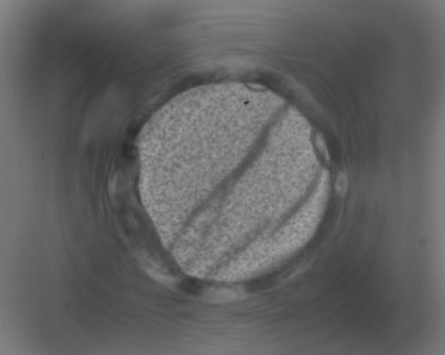 X0000081390771200702090037