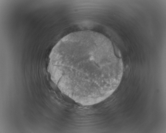 X0000081390772200702090037