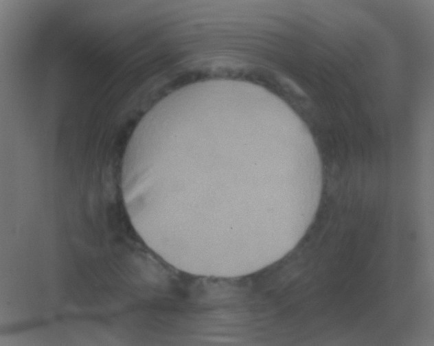 X0000081390774200702090037