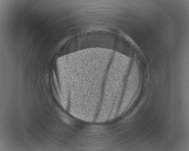 X0000081390777200702090037