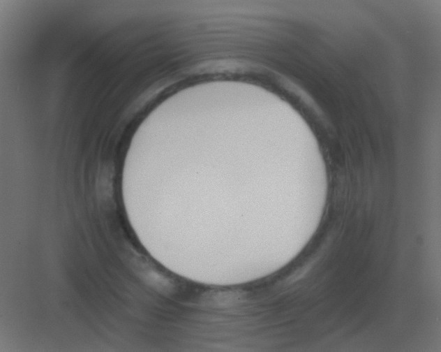 X0000081390778200702090037