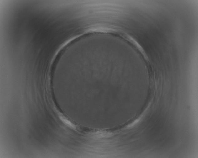 X0000081390779200702090037