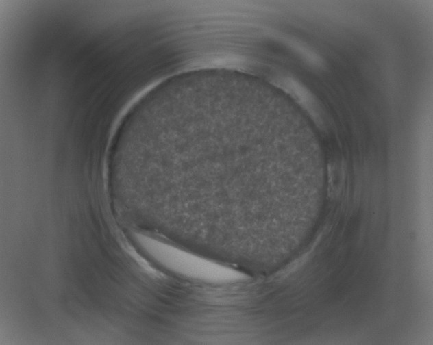 X0000081390780200702090037