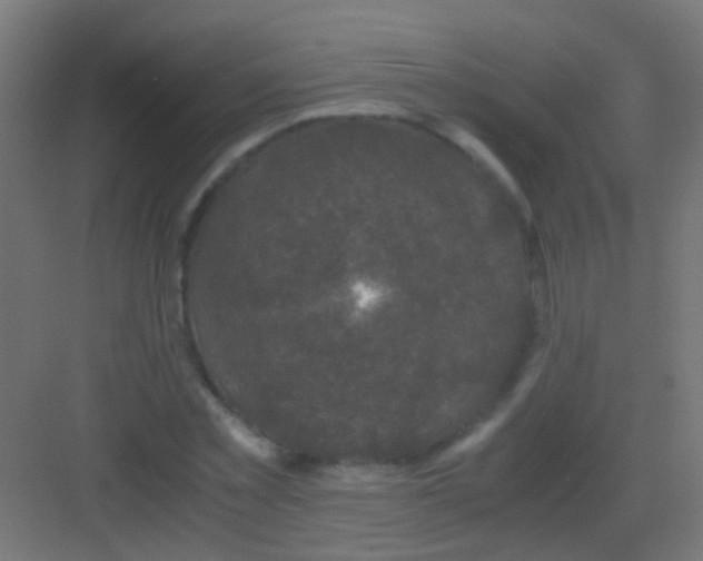 X0000081390781200702090037