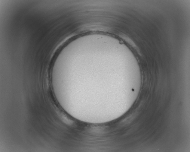 X0000081390782200702090037