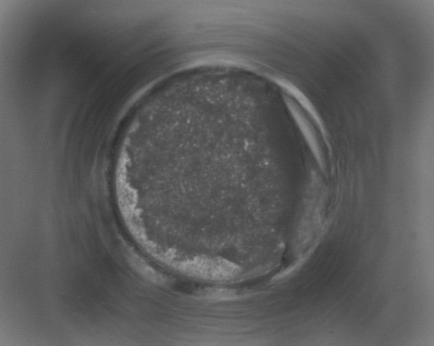 X0000081390783200702090037