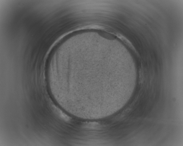 X0000081390784200702090037