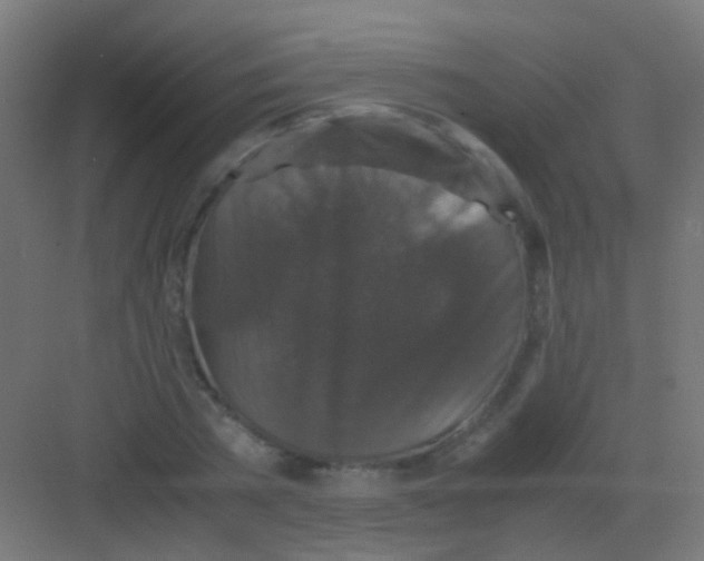 X0000081390785200702090037