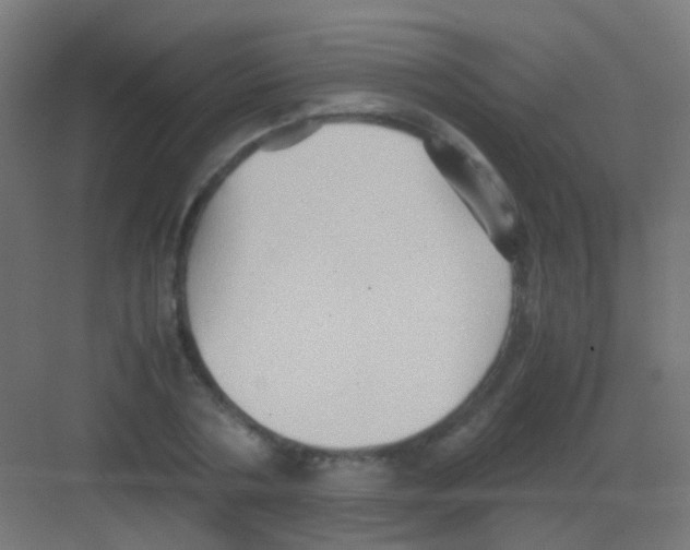 X0000081390786200702090037