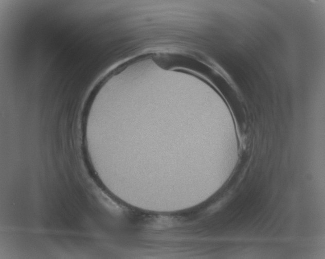 X0000081390787200702090037