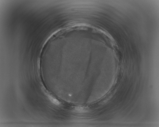 X0000081390790200702090036