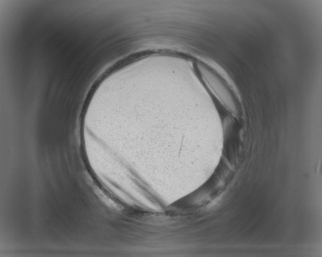 X0000081390791200702090036