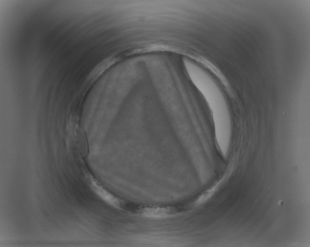 X0000081390793200702090036