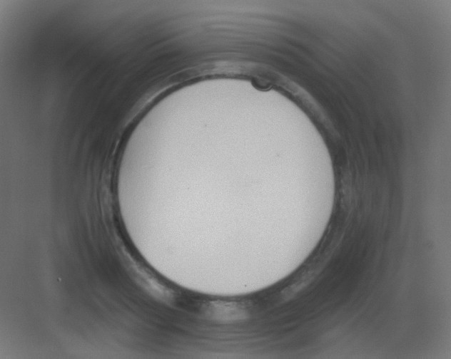 X0000081390794200702090036