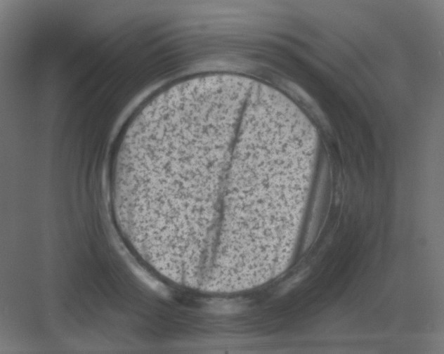 X0000081390796200702090036