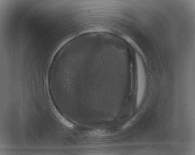 X0000081390797200702090036