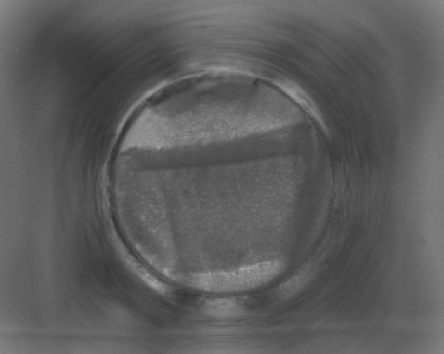 X0000081390798200702090036