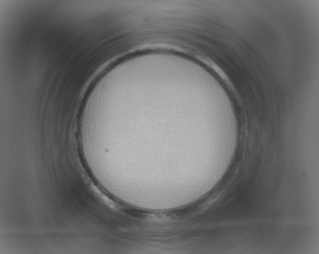 X0000081390799200702090036