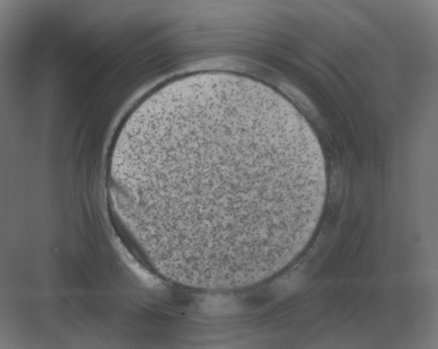 X0000081390800200702090036