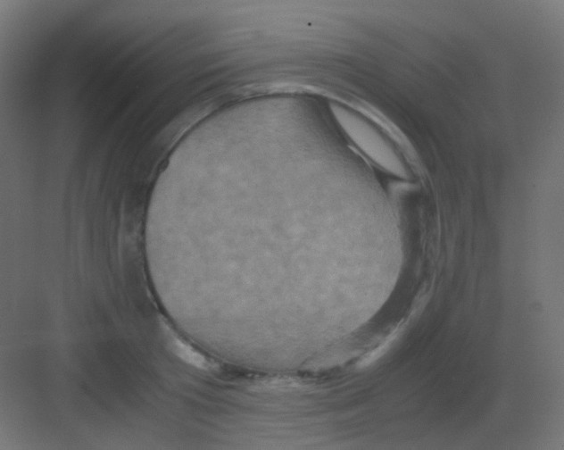 X0000081390801200702090036