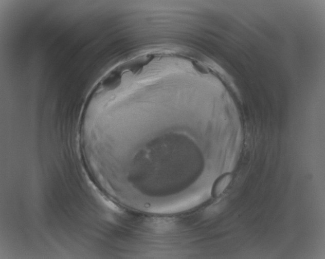 X0000081390802200702090036