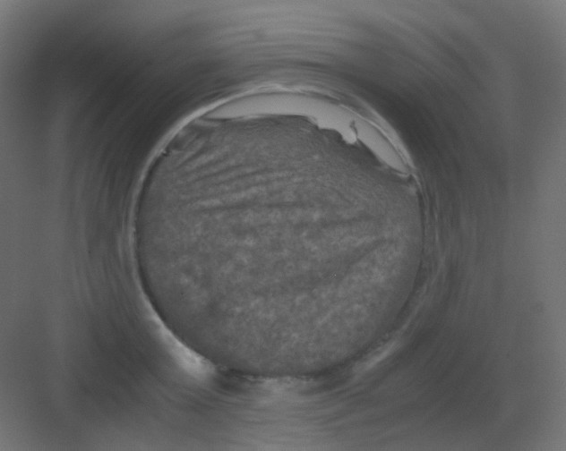 X0000081390803200702090036