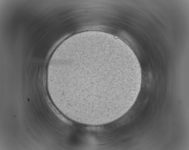 X0000081390804200702090036