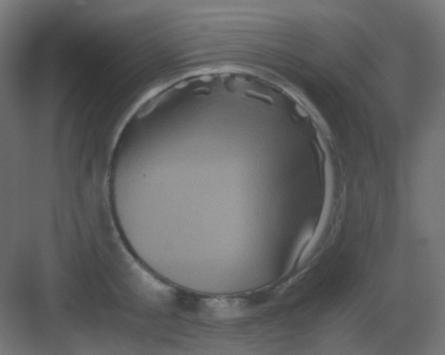 X0000081390805200702090036