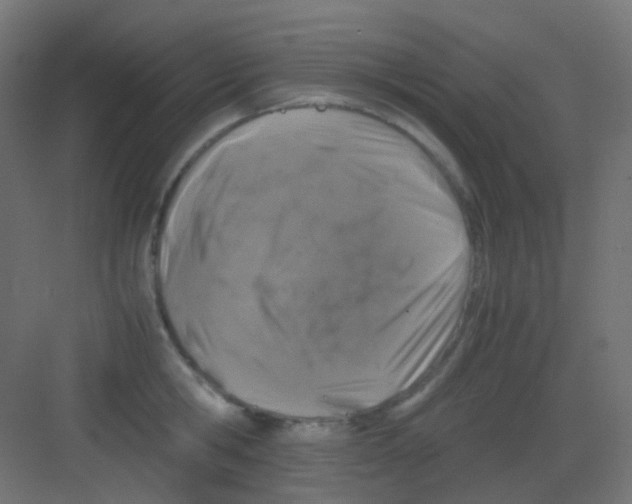 X0000081390806200702090036