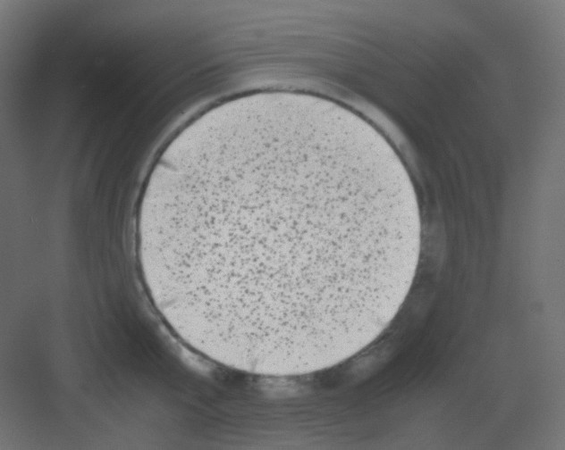 X0000081390807200702090036