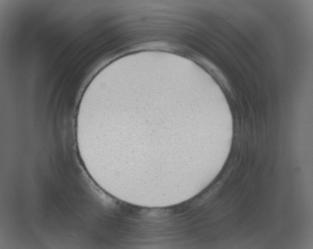 X0000081390808200702090036