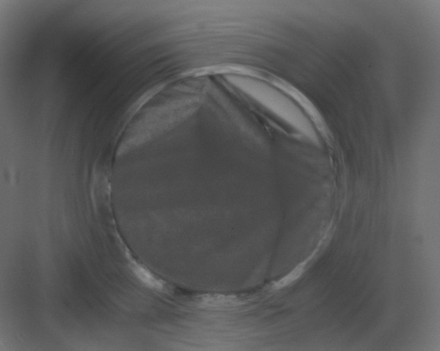 X0000081390809200702090036