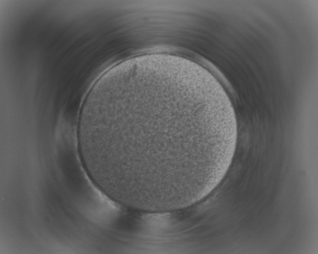 X0000081390810200702090036