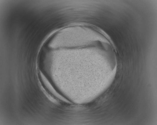 X0000081390811200702090036