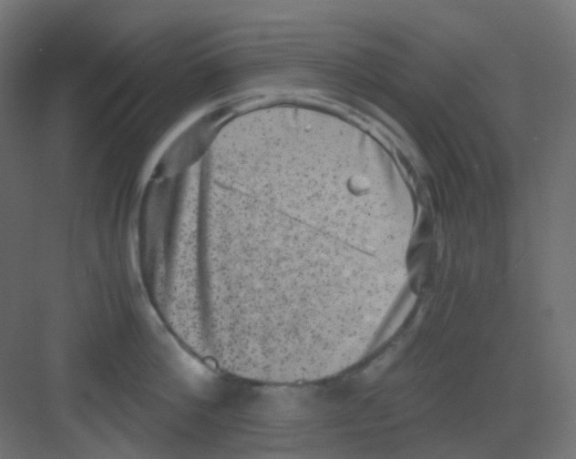 X0000081390812200702090036