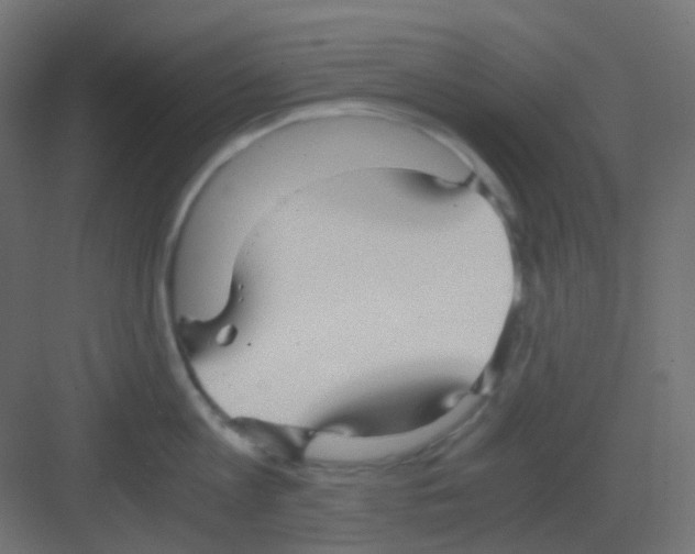 X0000081390813200702090036