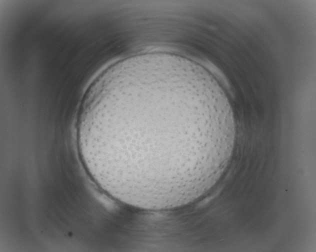 X0000081390814200702090036