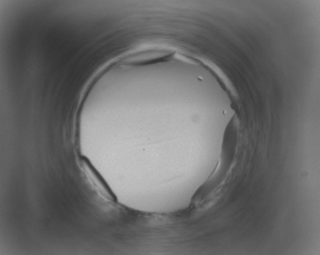 X0000081390815200702090036