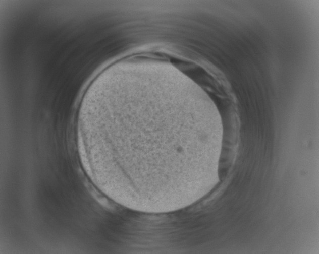 X0000081390816200702090036