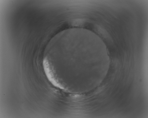 X0000081390817200702090035