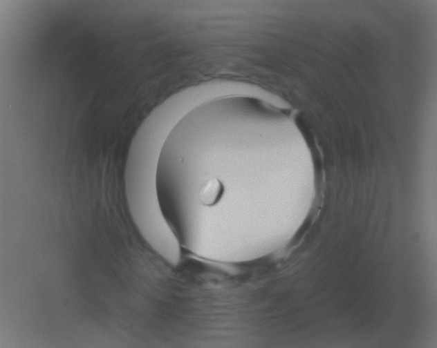 X0000081390818200702090035