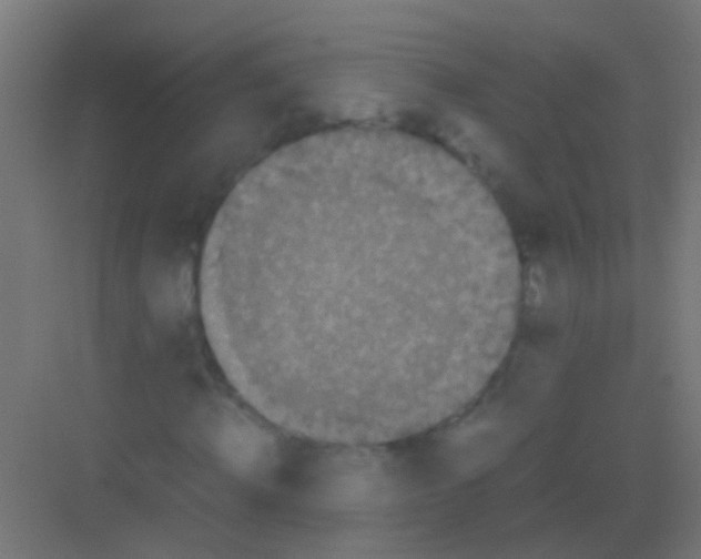 X0000081390820200702090035