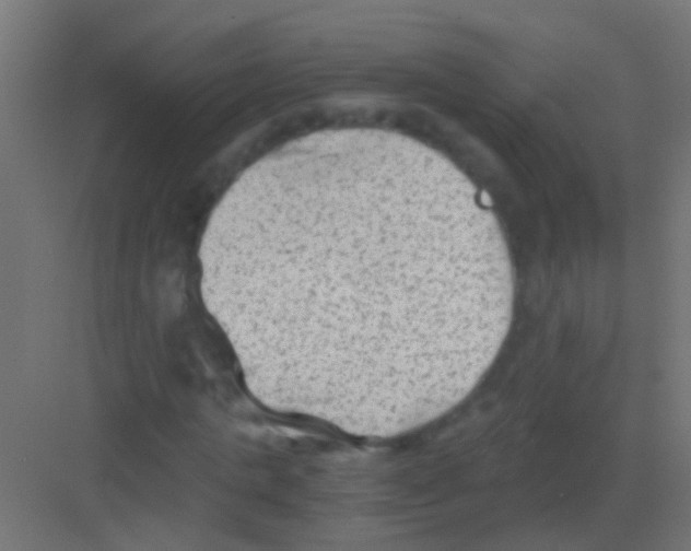 X0000081390821200702090035