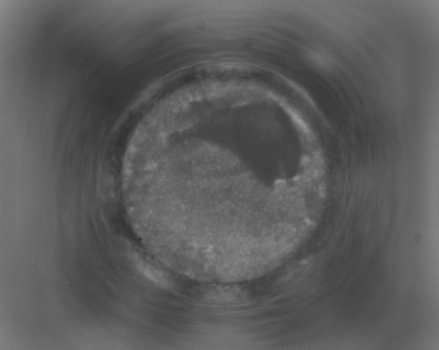 X0000081390823200702090035