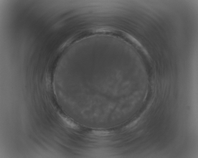 X0000081390825200702090035