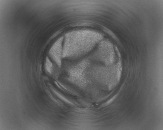 X0000081390826200702090035