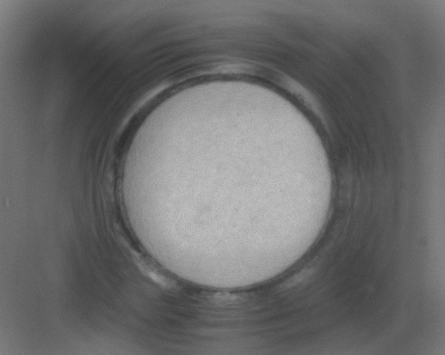 X0000081390827200702090035