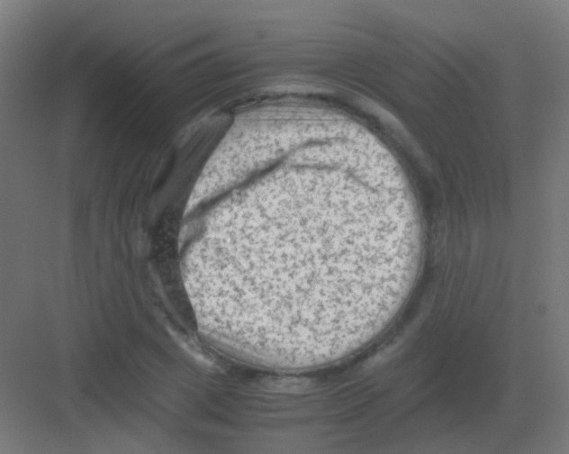 X0000081390833200702090035